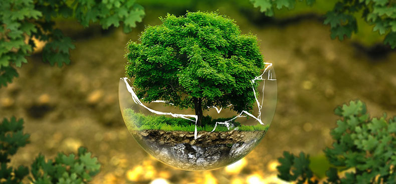 Prácticas de Desinfección Verde en Hogares