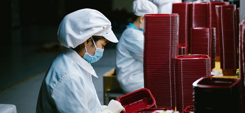 Control de plagas en la industria alimentaria: claves para cumplir normativas