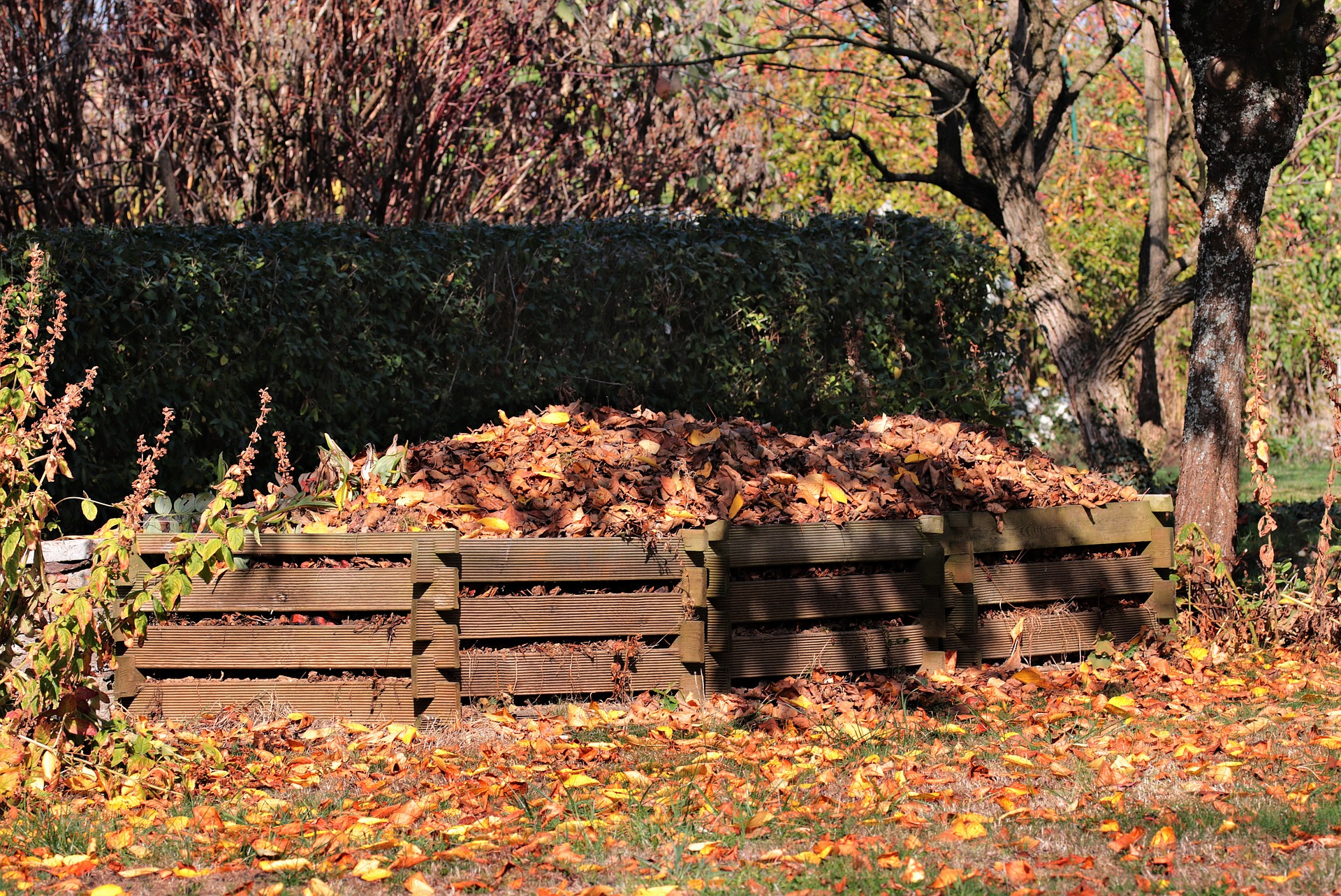 Cómo preparar compost casero