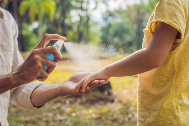 Insectos de verano: plagas de la época de calor