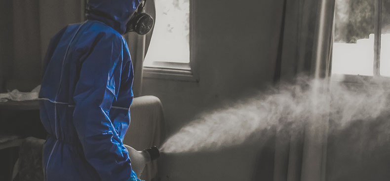 Servicios de Control de Plagas y Ambiente Saludable
