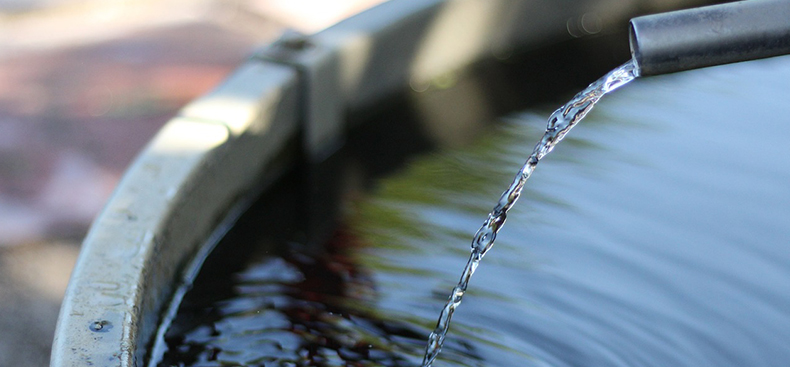 Medidas preventivas para combatir el dengue y proteger tu salud
